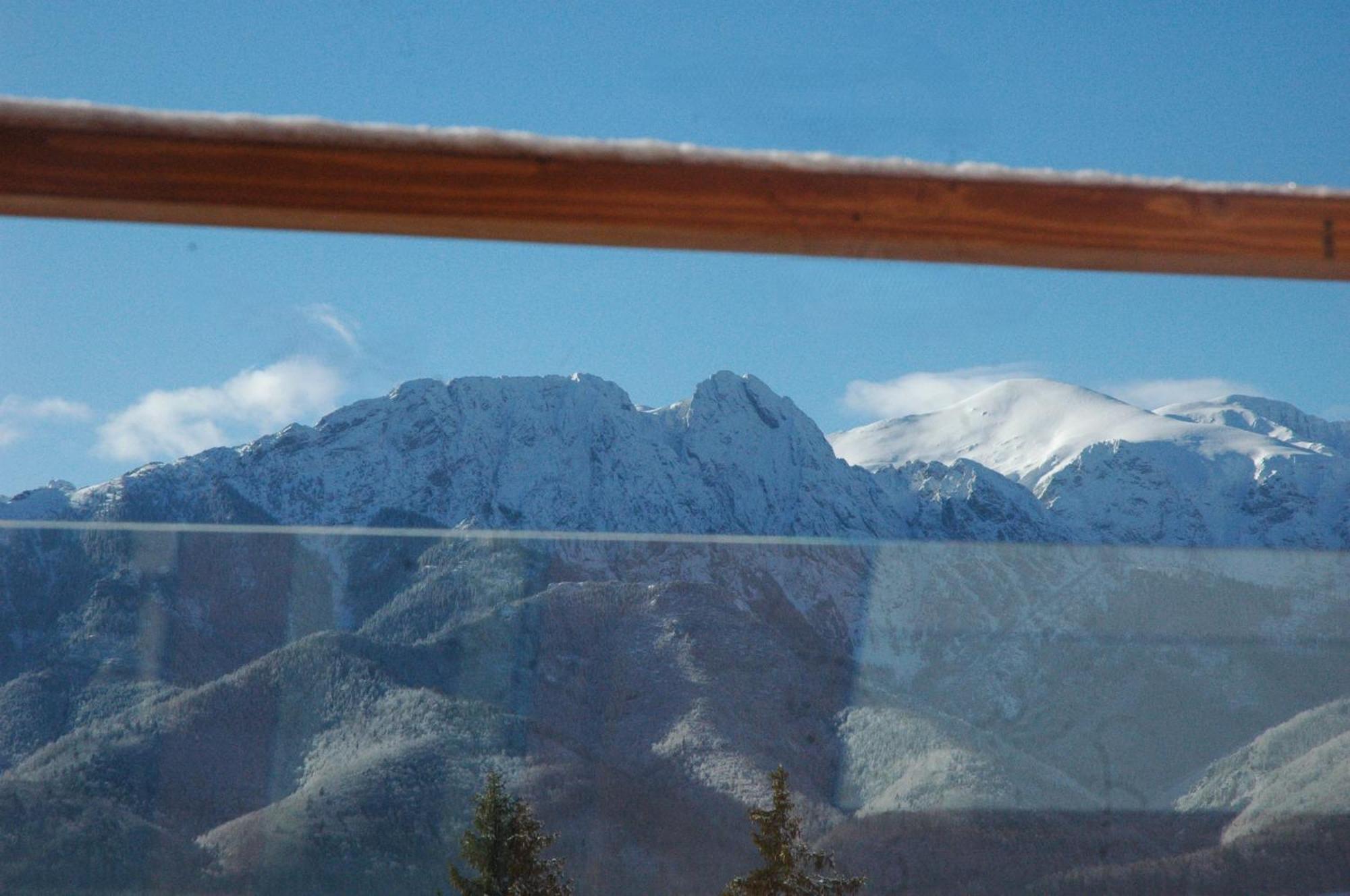 Widok Apartamenty Zakopane Esterno foto